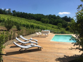 Villa Pongina with private pool
